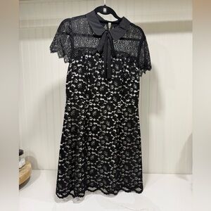 Kensie Black and White Lace Collared Mini Dress